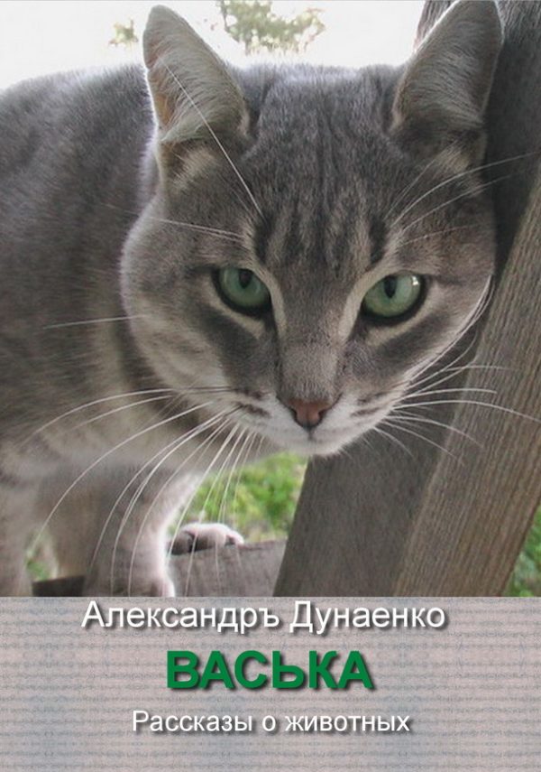 Обложка книги «Васька»