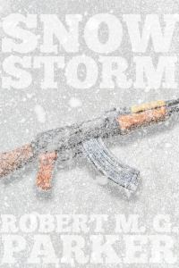 Обложка книги «Snow Storm»