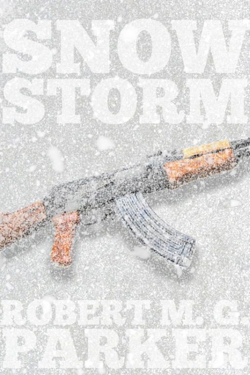 Обложка книги «Snow Storm»
