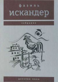 Обложка книги «Детство Чика»