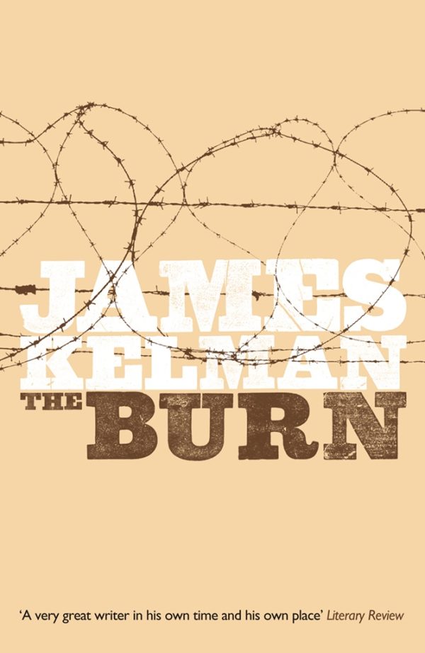 Обложка книги «The Burn»