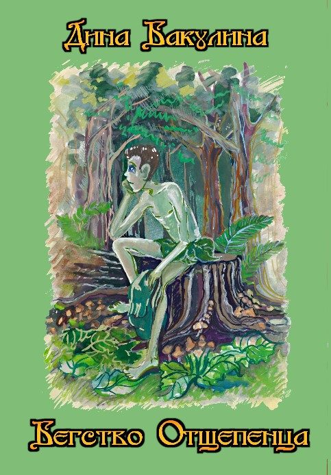 Обложка книги «Бегство Отщепенца»