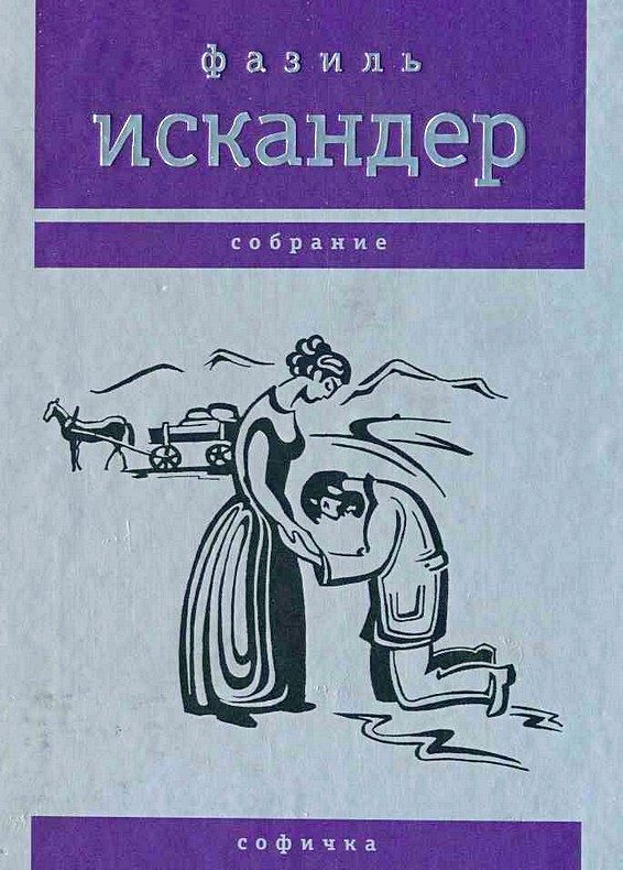 Обложка книги «Софичка»