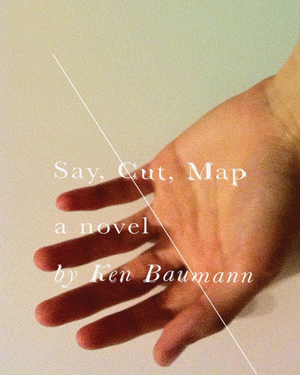 Обложка книги «Say, Cut, Map»