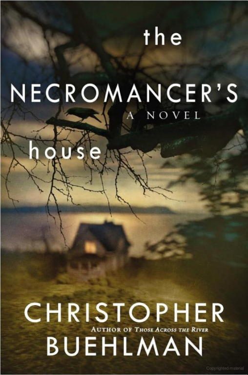 Обложка книги «The Necromancer's House»