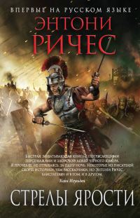 Обложка книги «Стрелы ярости»