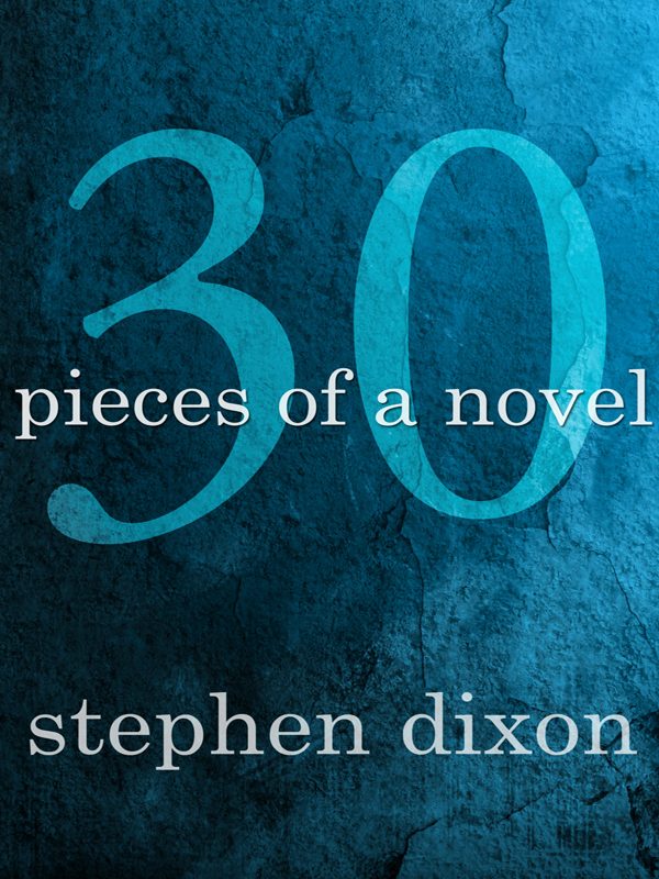 Обложка книги «30 Pieces of a Novel»