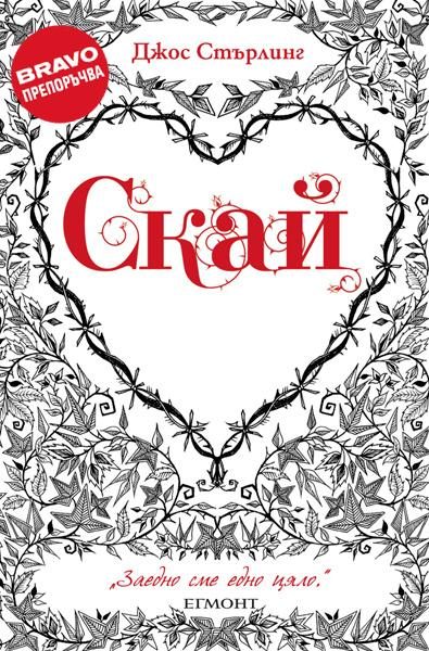 Обложка книги «Скай»