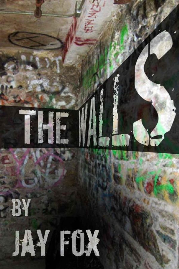 Обложка книги «THE WALLS»