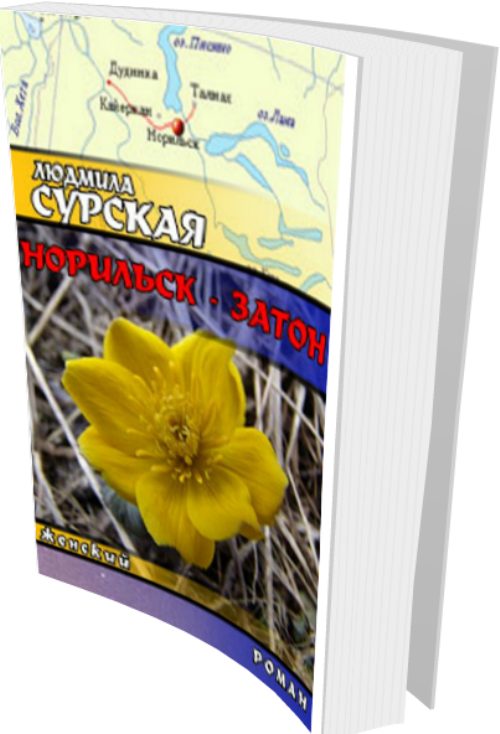 Обложка книги «Норильск - Затон»