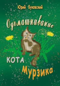 Обложка книги «Одомашнивание кота Мурзика»