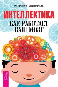Обложка книги «Интеллектика. Как работает ваш мозг»