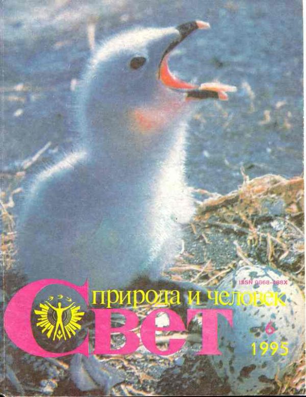 Обложка книги ««Золотой охотник»»