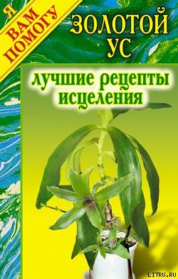 Обложка книги «Золотой ус. Лучшие рецепты исцеления»