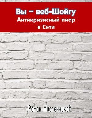 Обложка книги «Вы – веб-Шойгу. Антикризисный пиар в Сети»