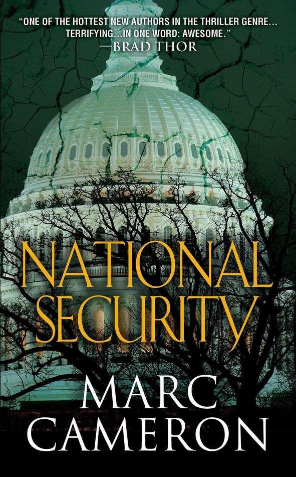 Обложка книги «National Security»