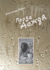Обложка книги «Проза Дождя»