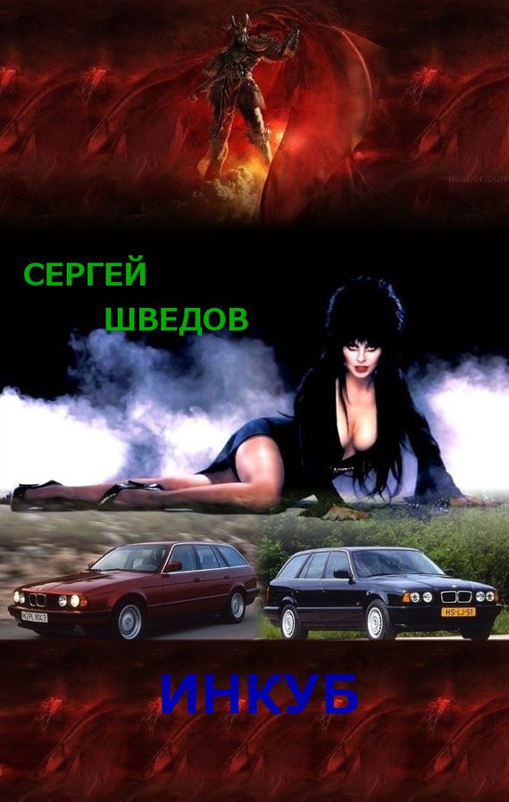 Обложка книги «Инкуб»