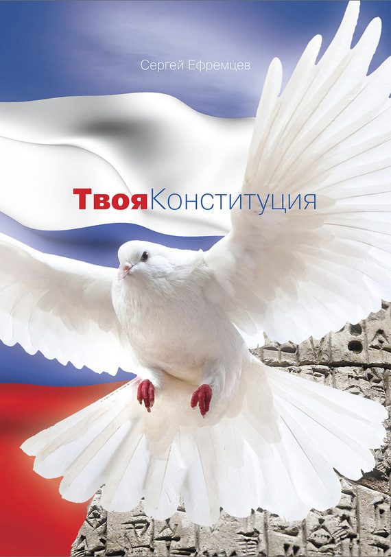 Обложка книги «Твоя Конституция»