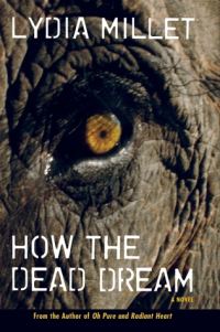 Обложка книги «How the Dead Dream»