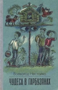 Обложка книги «Чудеса в Гарбузянах»