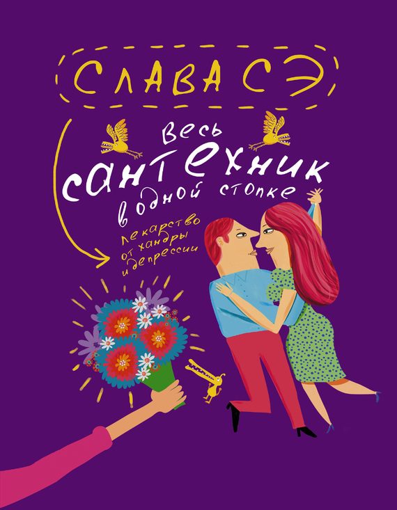 Обложка книги «Весь сантехник в одной стопке»