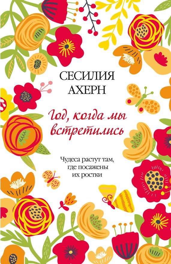 Обложка книги «Год, когда мы встретились»