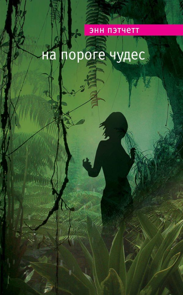 Обложка книги «На пороге чудес»
