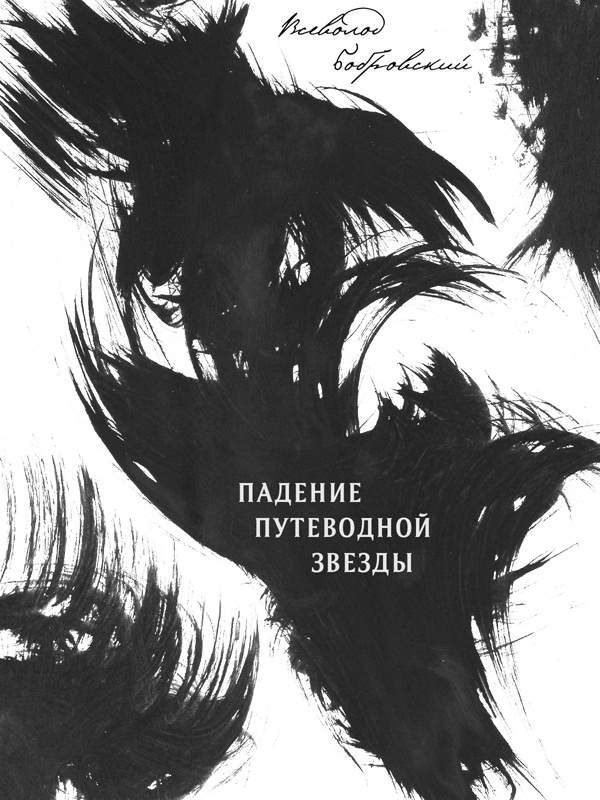 Обложка книги «Падение путеводной звезды»