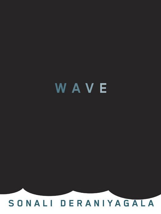 Обложка книги «Wave»