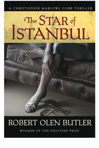 Обложка книги «The Star of Istanbul»