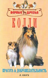 Обложка книги «Колли»