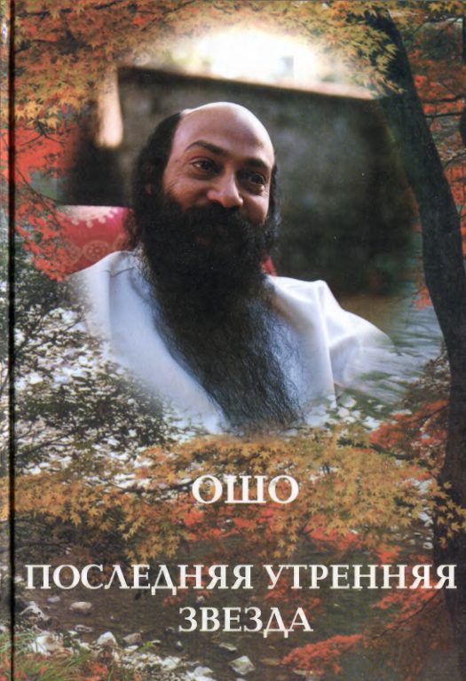 Обложка книги «Последняя утренняя звезда»