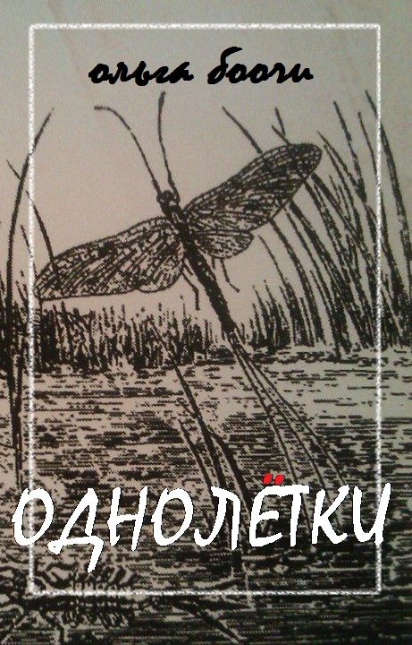 Обложка книги «Однолётки»