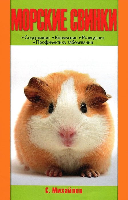 Обложка книги «Морские свинки»