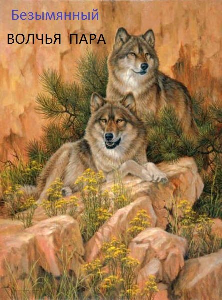Обложка книги «Волчья пара»