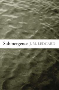 Обложка книги «Submergence»