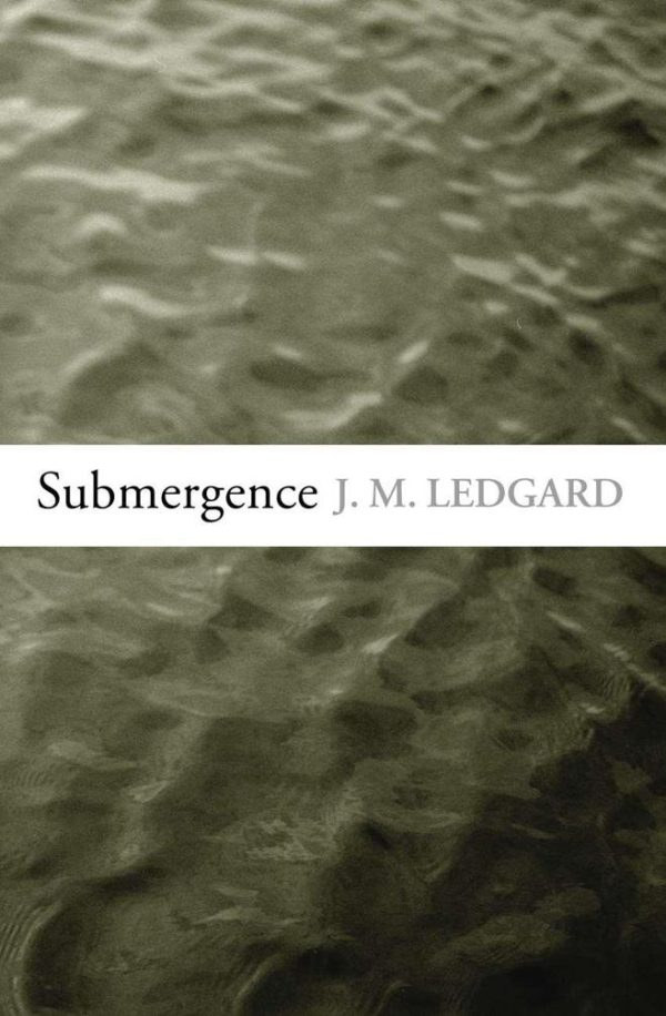 Обложка книги «Submergence»