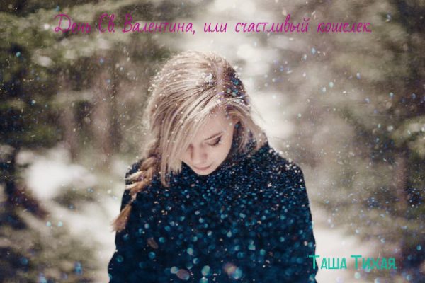 Обложка книги «День Св. Валентина, или счастливый кошелек (СИ)»