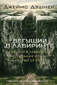 Обложка книги «Бегущий в Лабиринте»
