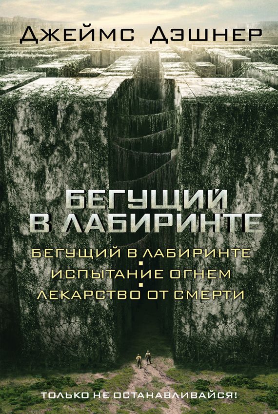 Обложка книги «Бегущий в Лабиринте»