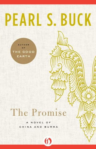 Обложка книги «The Promise»