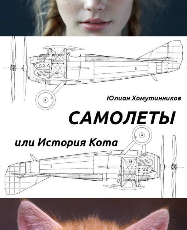 Обложка книги «Самолеты, или История Кота (СИ)»