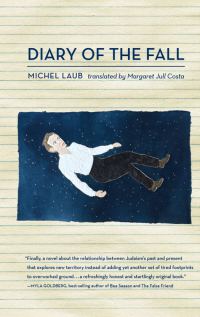 Обложка книги «Diary of the Fall»
