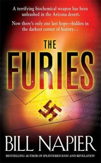 Обложка книги «The Furies»
