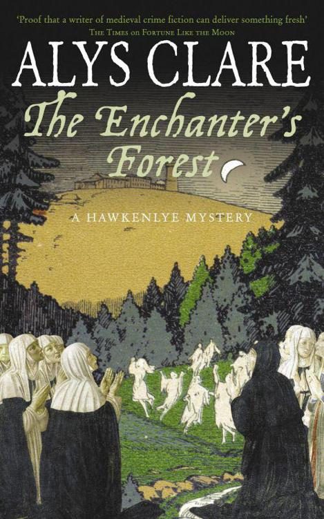 Обложка книги «The Enchanter's Forest»