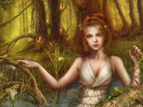Обложка книги «Провидица (СИ)»