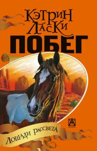 Обложка книги «Побег»