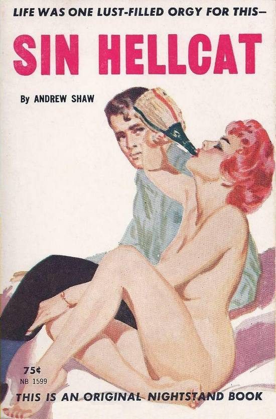 Обложка книги «Sin Hellcat»