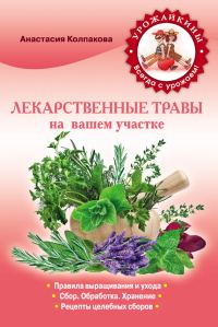 Обложка книги «Лекарственные травы вашем на участке»